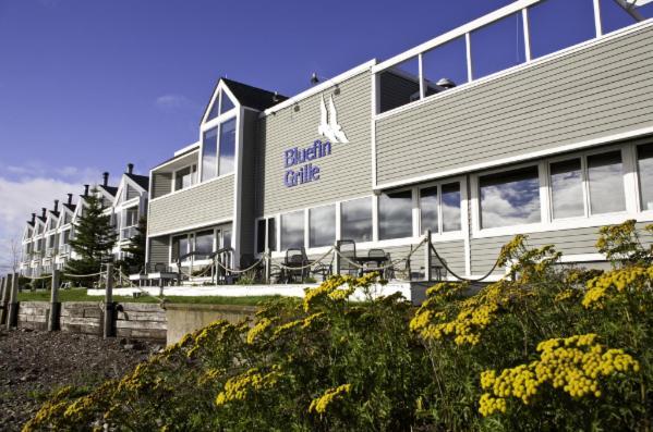 Bluefin Bay On Lake Superior Tofte Eksteriør billede